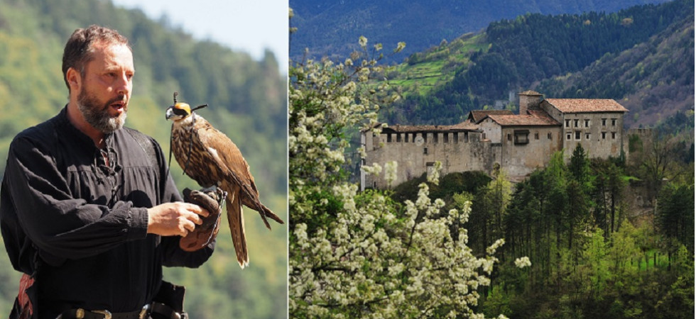 A Castel Stenico protagonista l'arte della falconeria